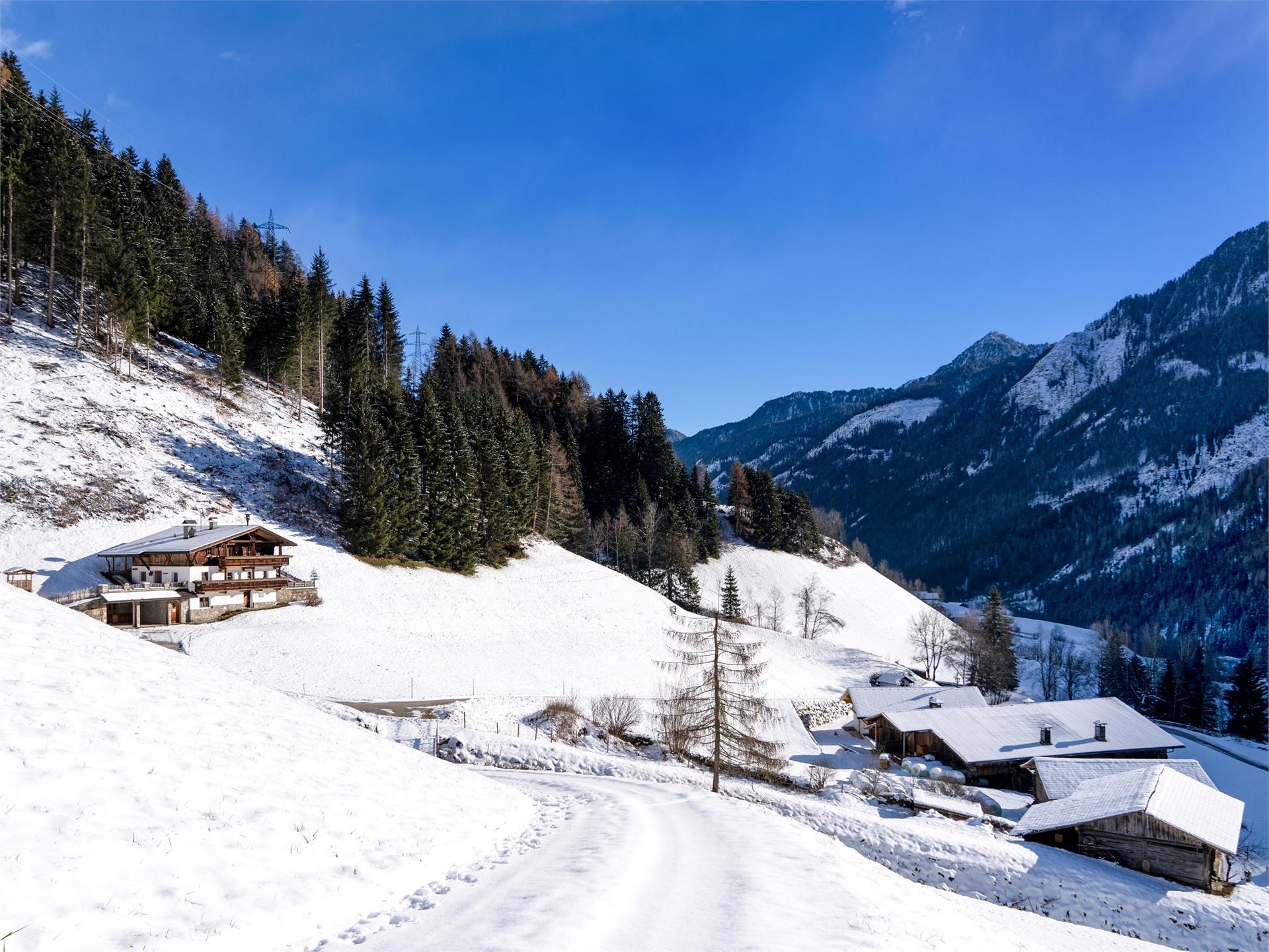 Grossgasteigerhof Mühlwald/Selva dei Molini 1 suedtirol.info