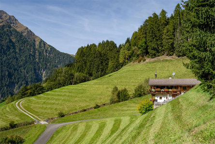 Grossgasteigerhof Mühlwald/Selva dei Molini 3 suedtirol.info