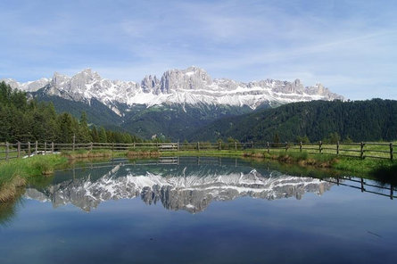 Alpinhotel Vajolet Tiers am Rosengarten 19 suedtirol.info