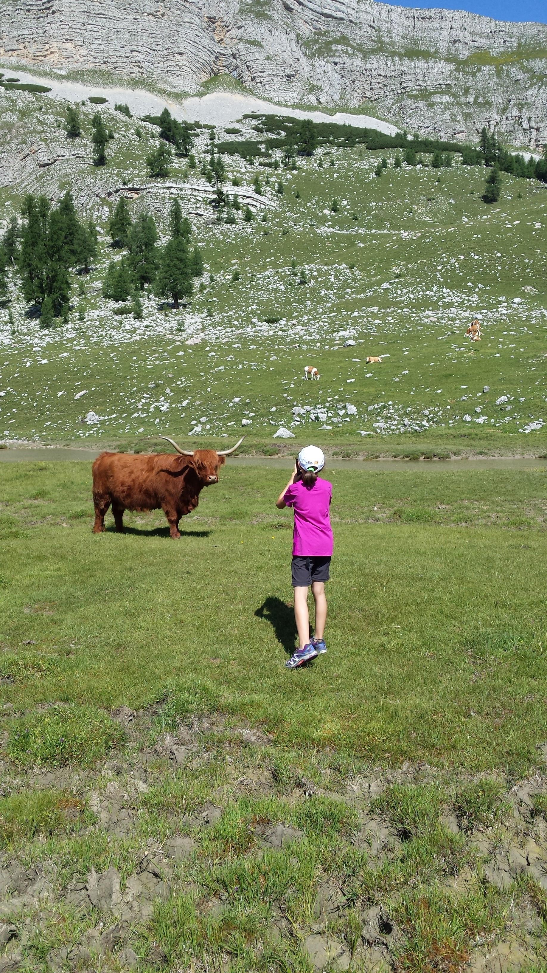 App. Gana Badia 15 suedtirol.info