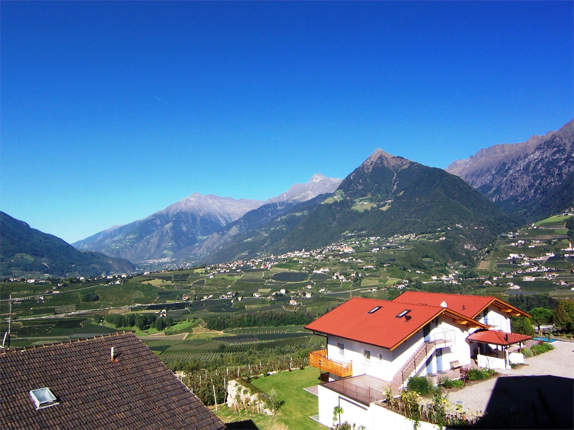 Appartement Andreas Hofer Schenna 12 suedtirol.info