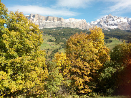 App. Ciasa d'Munt Badia 12 suedtirol.info