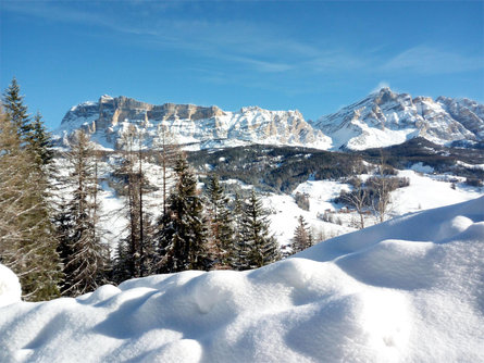 App. Ciasa d'Munt Badia 15 suedtirol.info