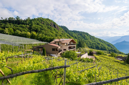 Apfelhof Termeno sulla Strada del Vino 9 suedtirol.info