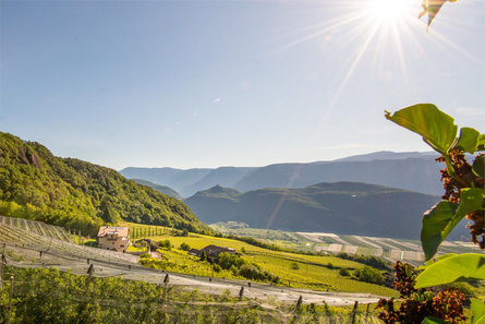 Apfelhof Tramin an der Weinstraße/Termeno sulla Strada del Vino 2 suedtirol.info