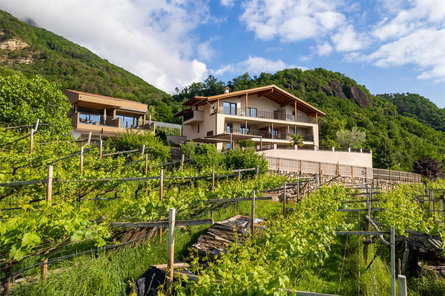 Apfelhof Termeno sulla Strada del Vino 3 suedtirol.info