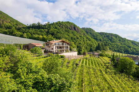 Apfelhof Termeno sulla Strada del Vino 6 suedtirol.info