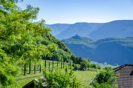 Apfelhof Termeno sulla Strada del Vino 11 suedtirol.info