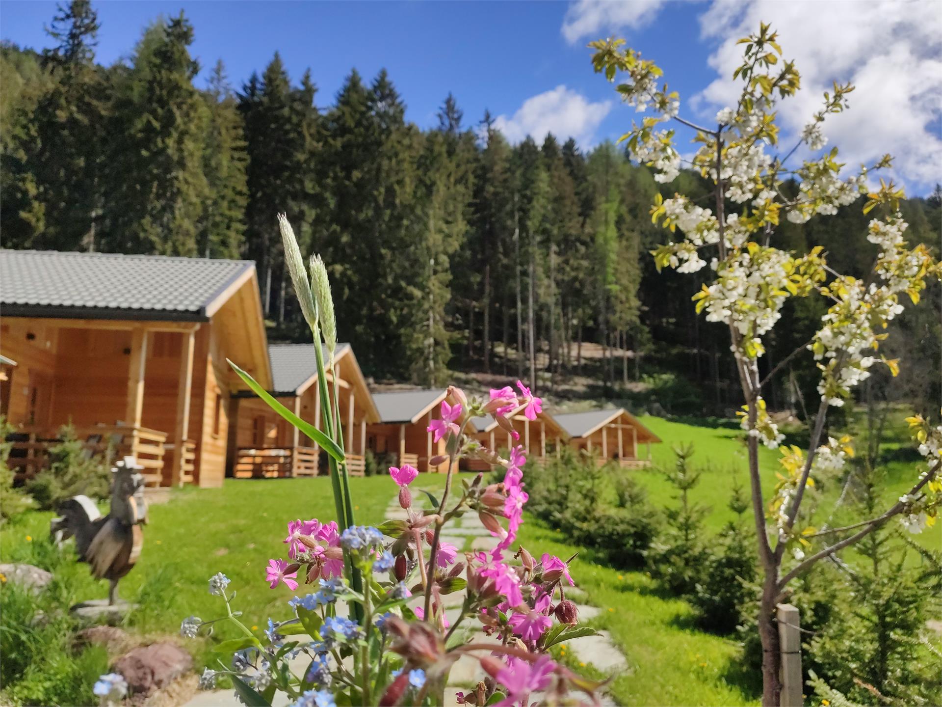 Alpenchalets Mair Sexten 12 suedtirol.info