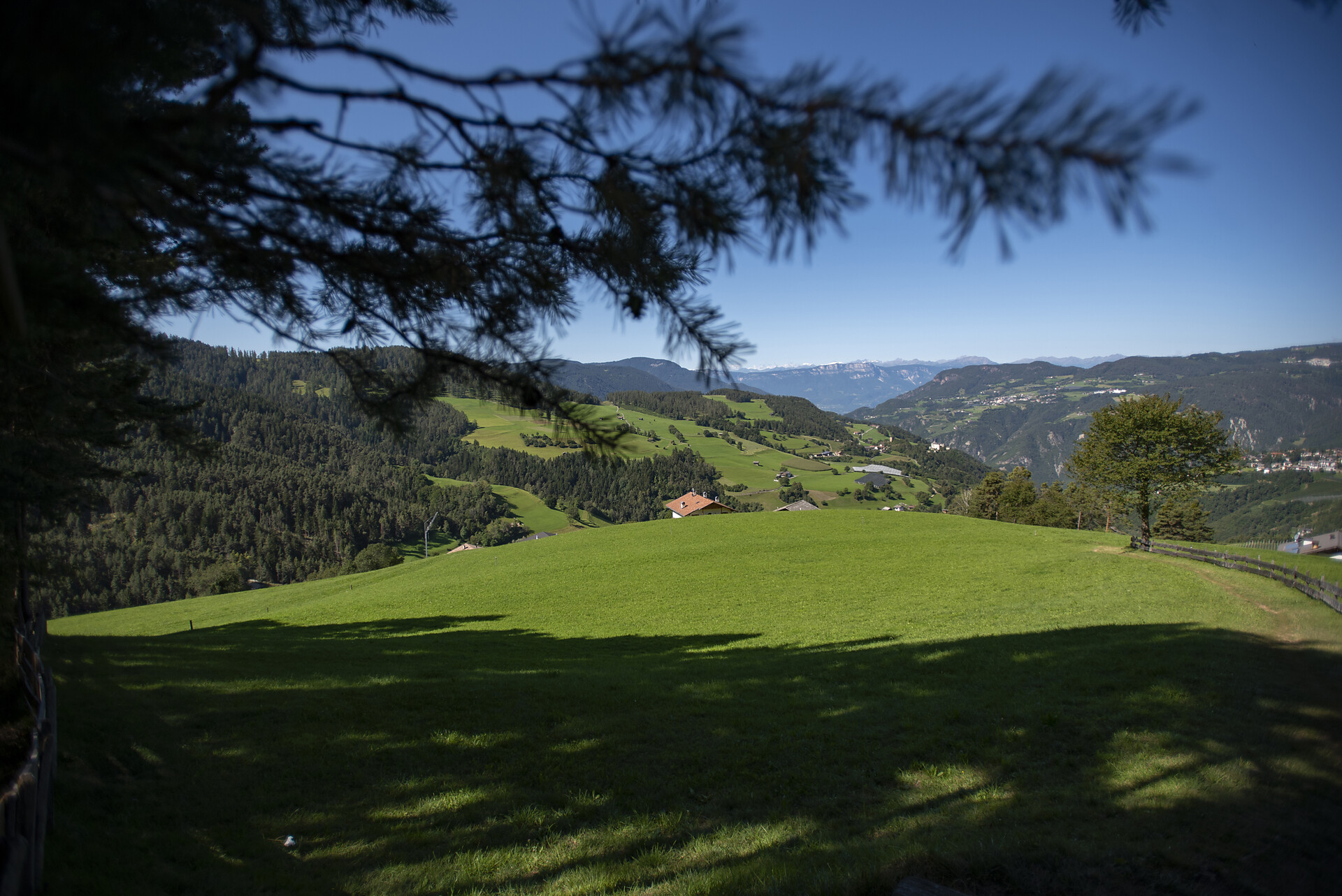 Aichbühlerhof Völs am Schlern/Fiè allo Sciliar 9 suedtirol.info