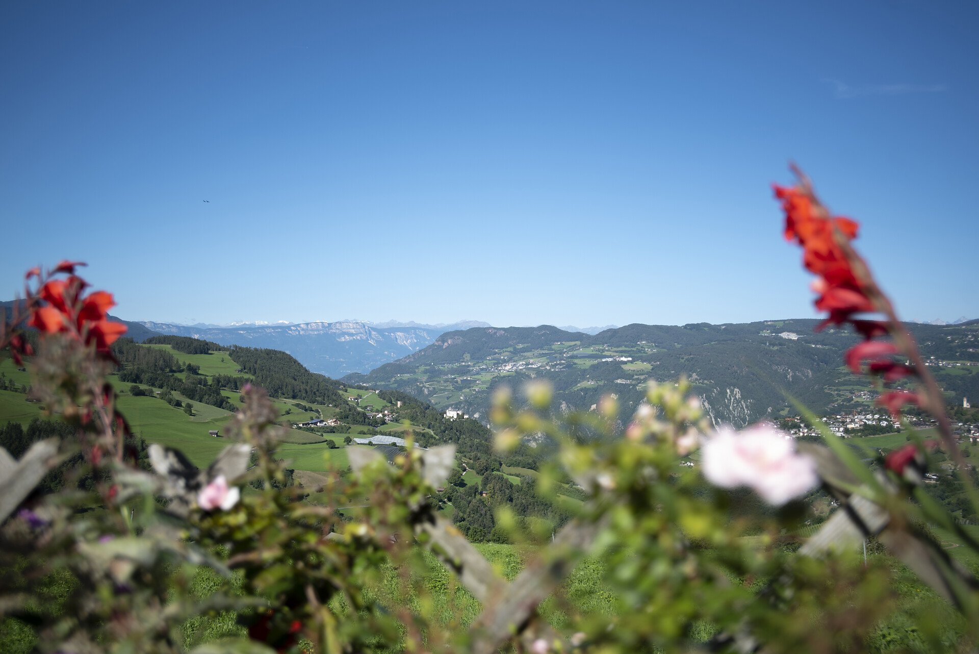 Aichbühlerhof Völs am Schlern/Fiè allo Sciliar 17 suedtirol.info