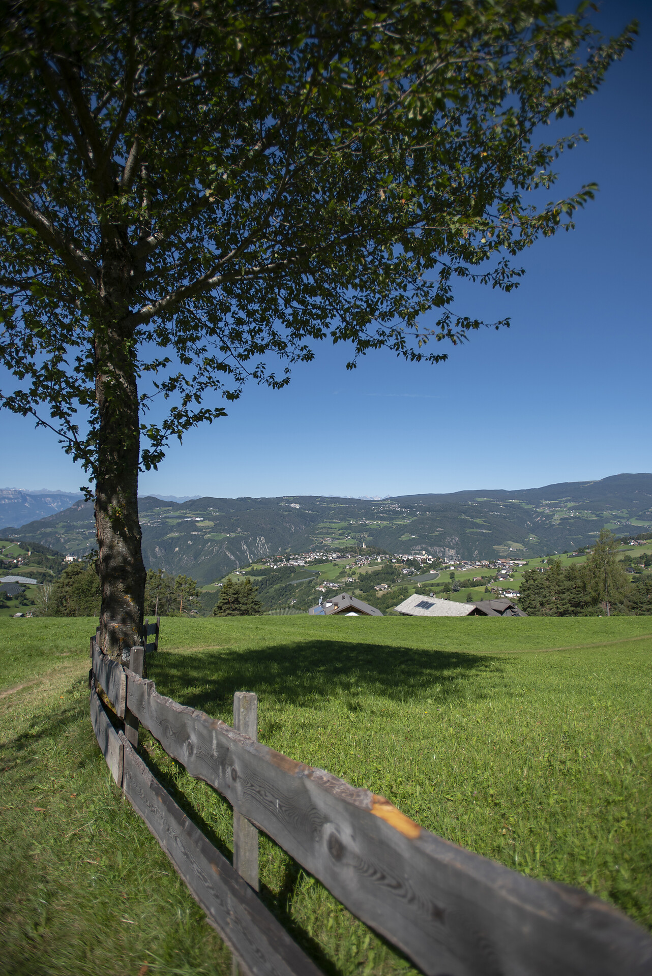 Aichbühlerhof Völs am Schlern/Fiè allo Sciliar 22 suedtirol.info