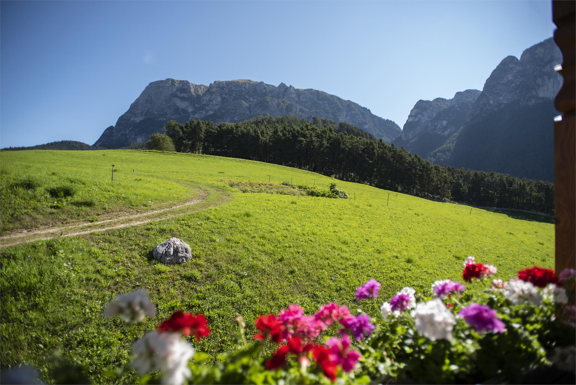 Aichbühlerhof Völs am Schlern/Fiè allo Sciliar 5 suedtirol.info