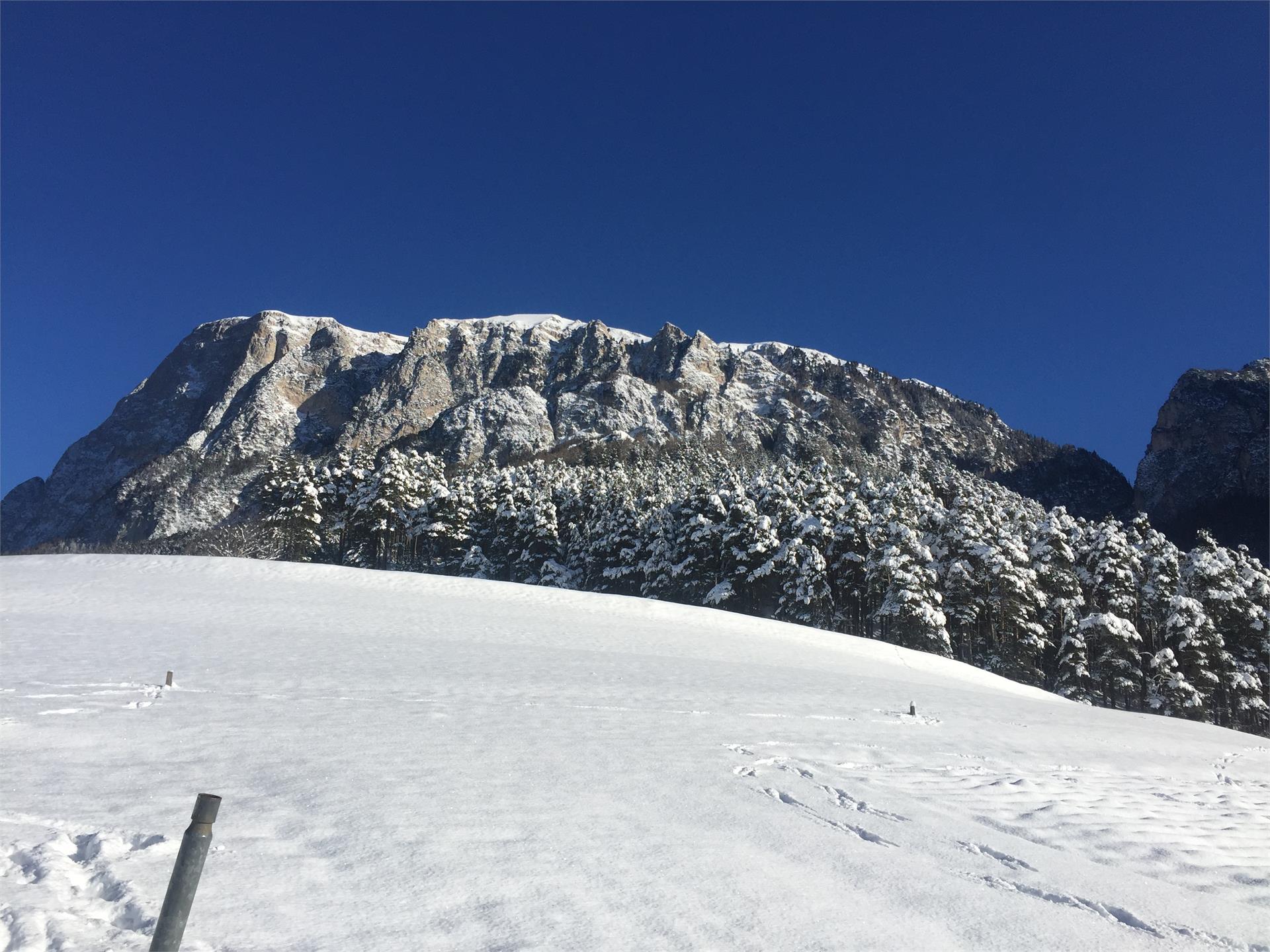 Aichbühlerhof Völs am Schlern/Fiè allo Sciliar 8 suedtirol.info