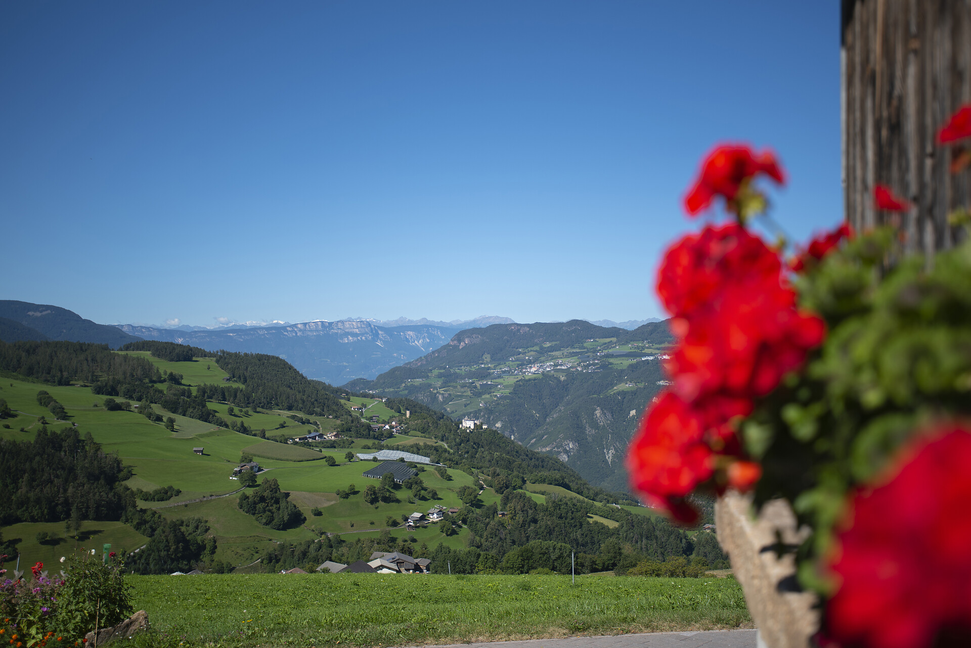 Aichbühlerhof Völs am Schlern/Fiè allo Sciliar 18 suedtirol.info