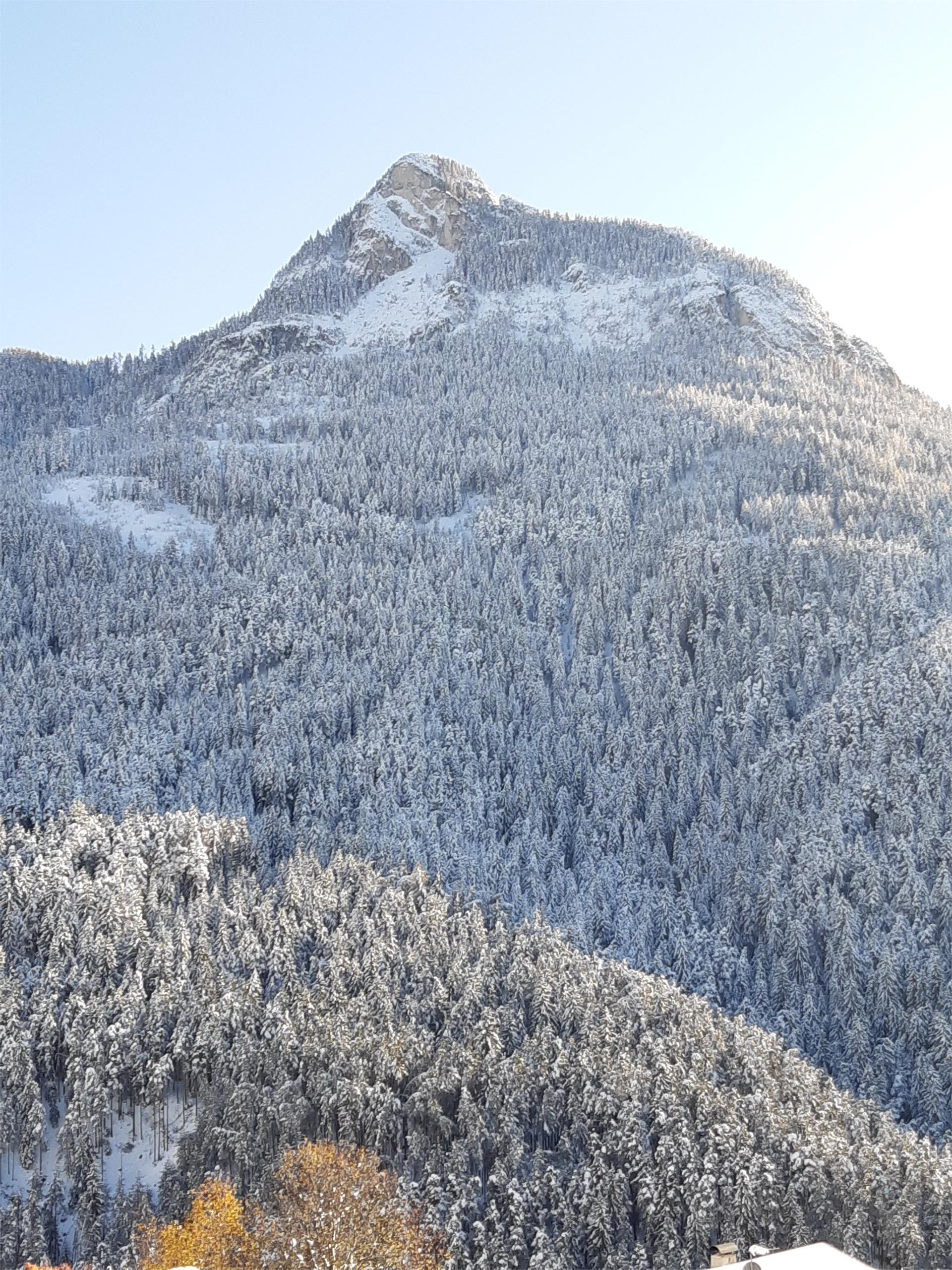 Aichbühlerhof Völs am Schlern/Fiè allo Sciliar 6 suedtirol.info