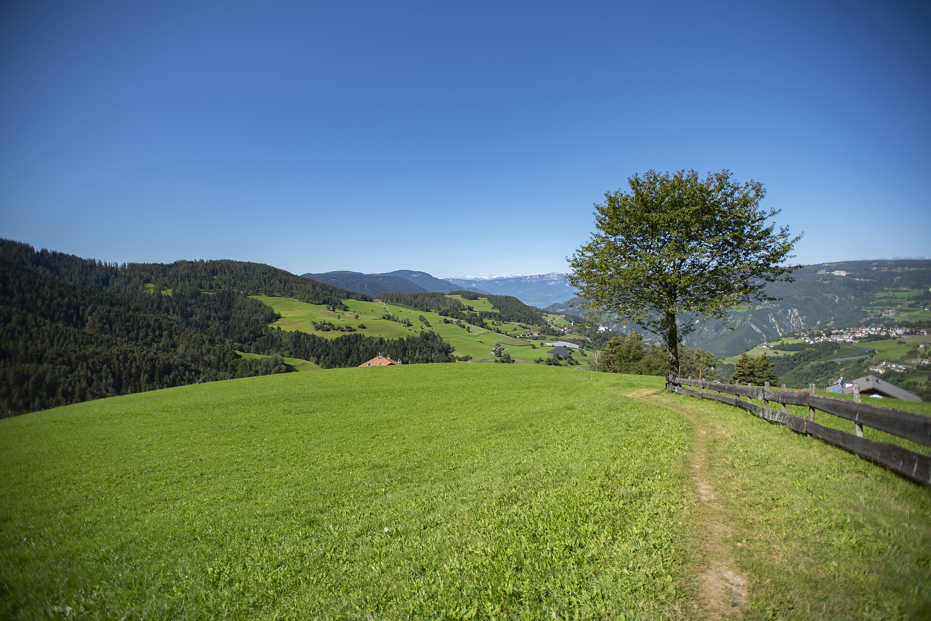 Aichbühlerhof Völs am Schlern/Fiè allo Sciliar 20 suedtirol.info