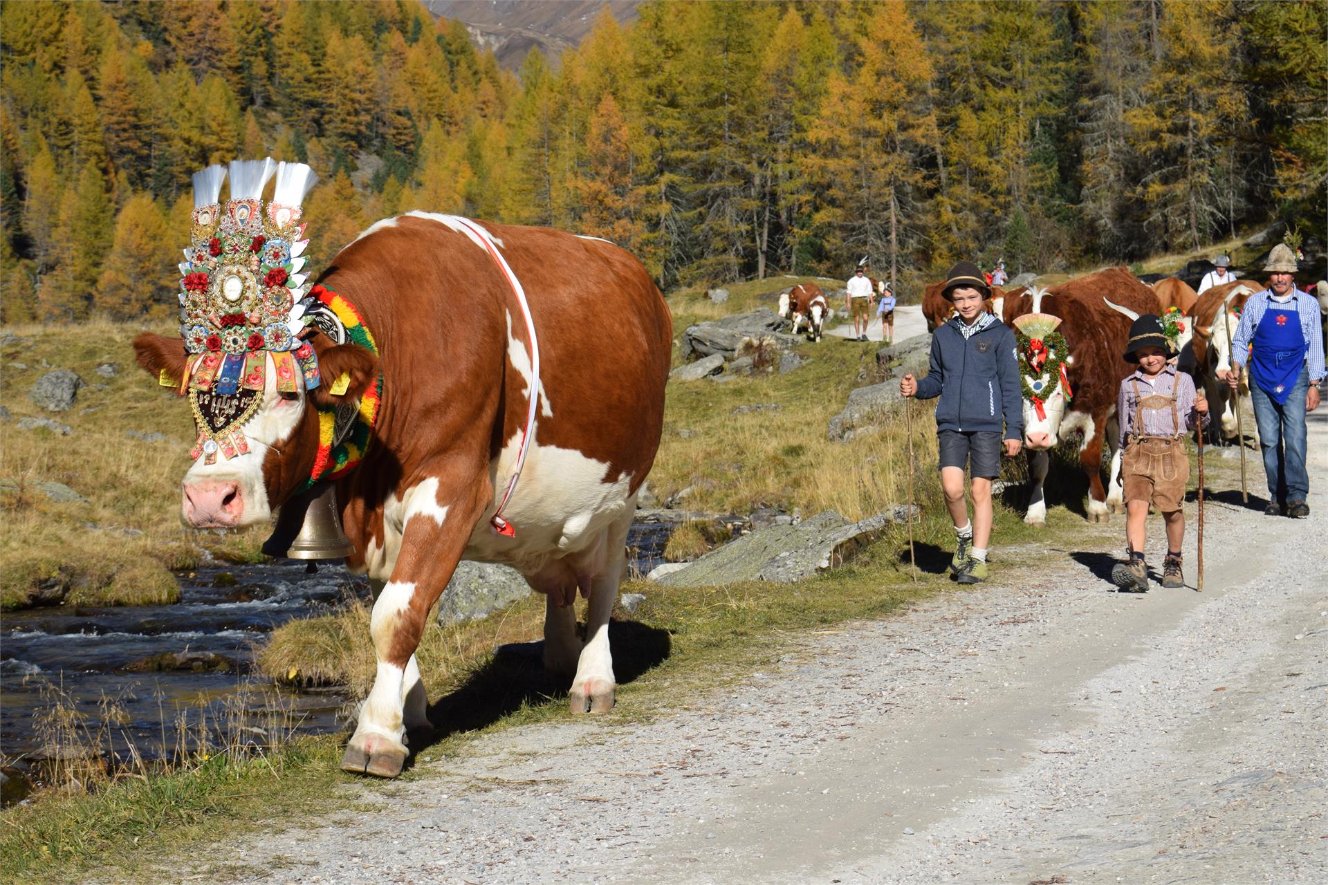 App. Lanerhof Sand in Taufers 7 suedtirol.info