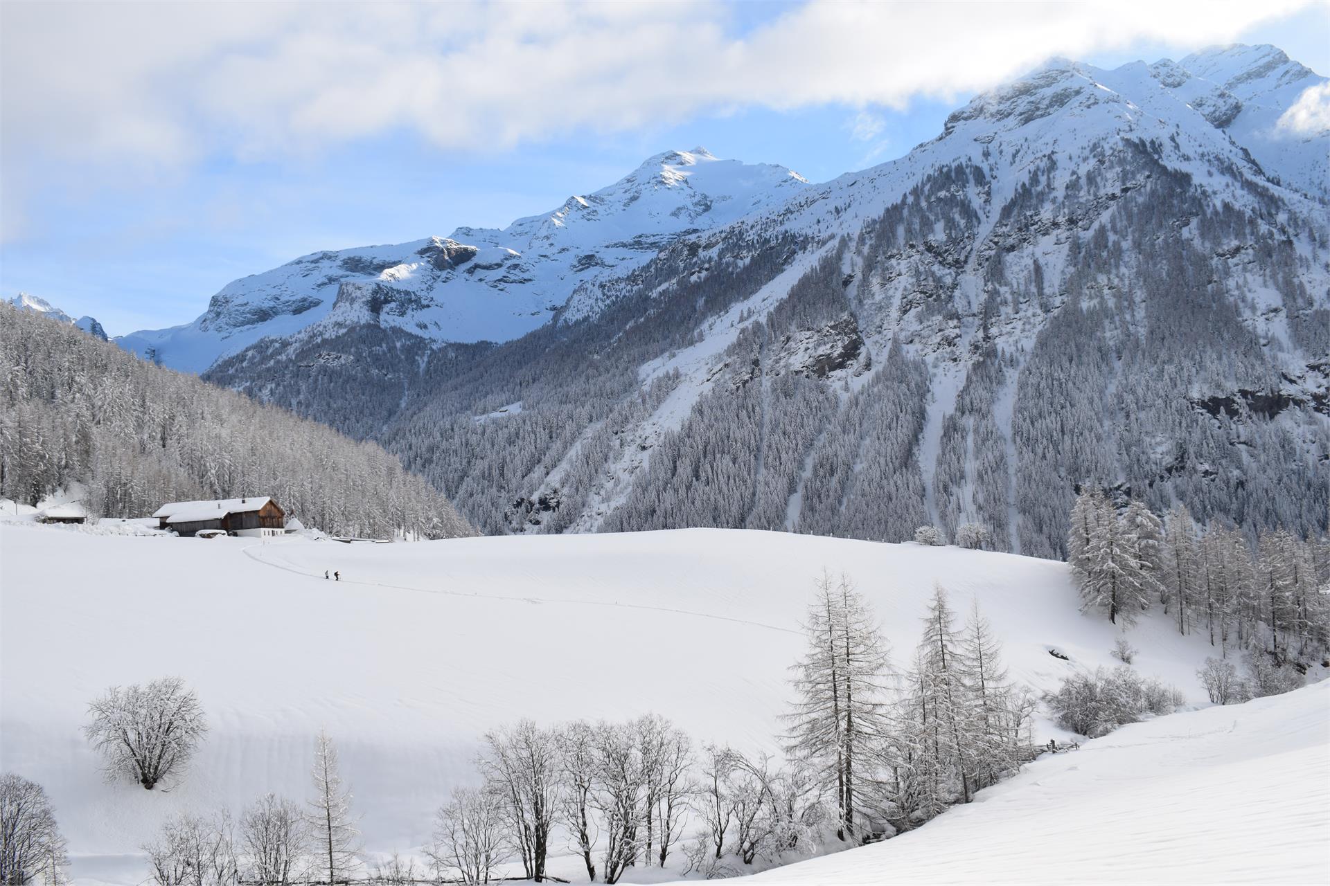 App. Lanerhof Sand in Taufers 6 suedtirol.info