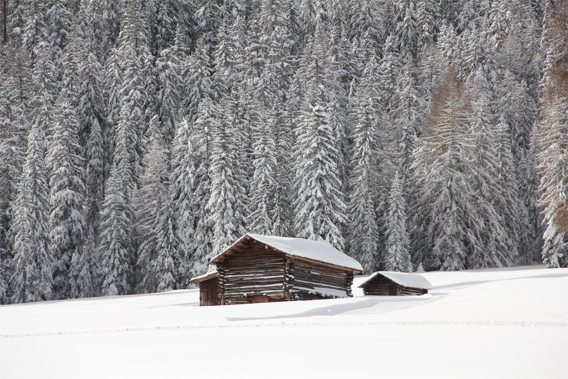 App. Les Fontanes Badia 15 suedtirol.info