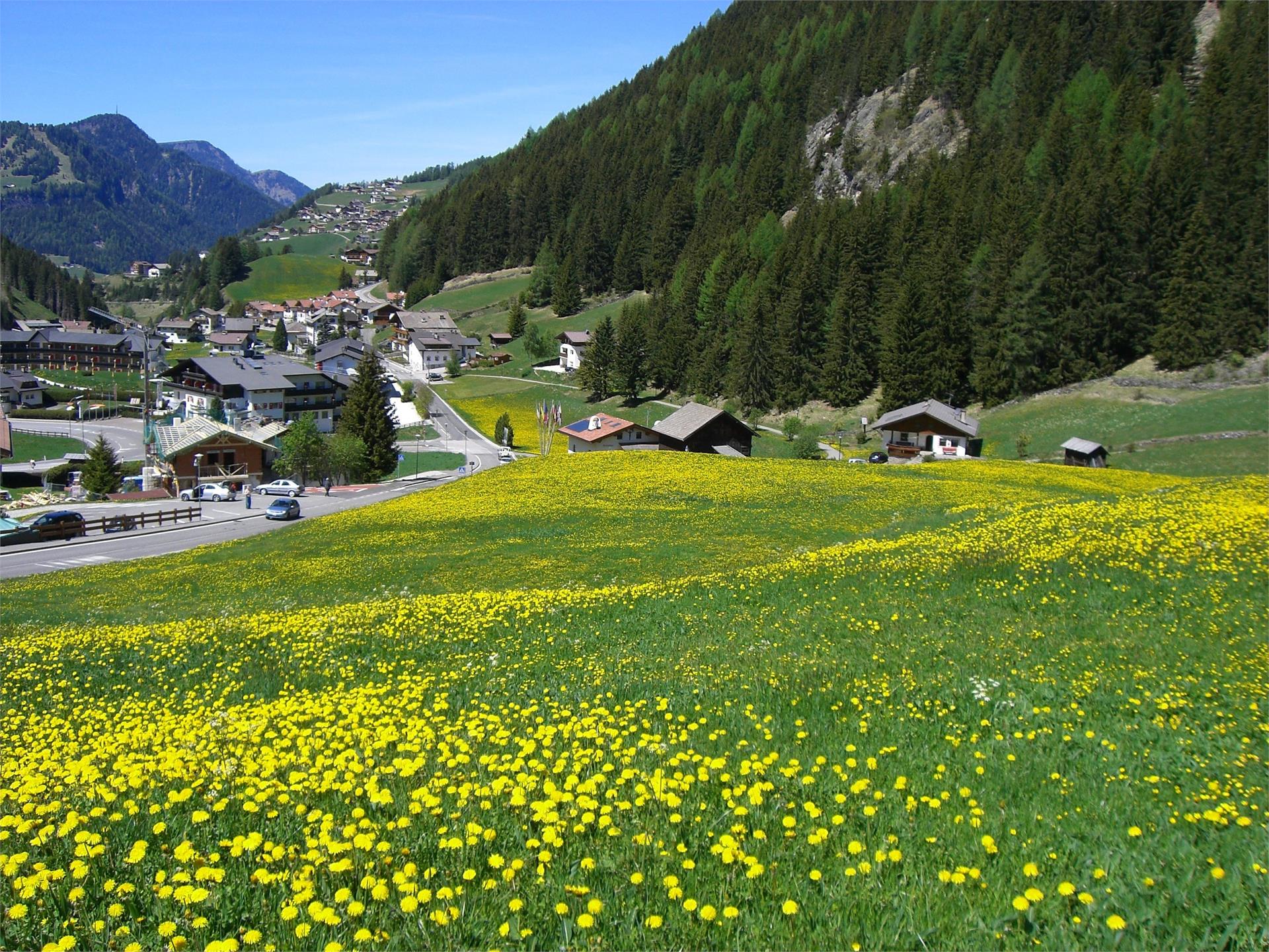 Apartments Clementine Wolkenstein 22 suedtirol.info