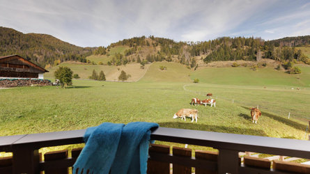 Apartments Pragser Wildsee Winklwiese Prags/Braies 29 suedtirol.info