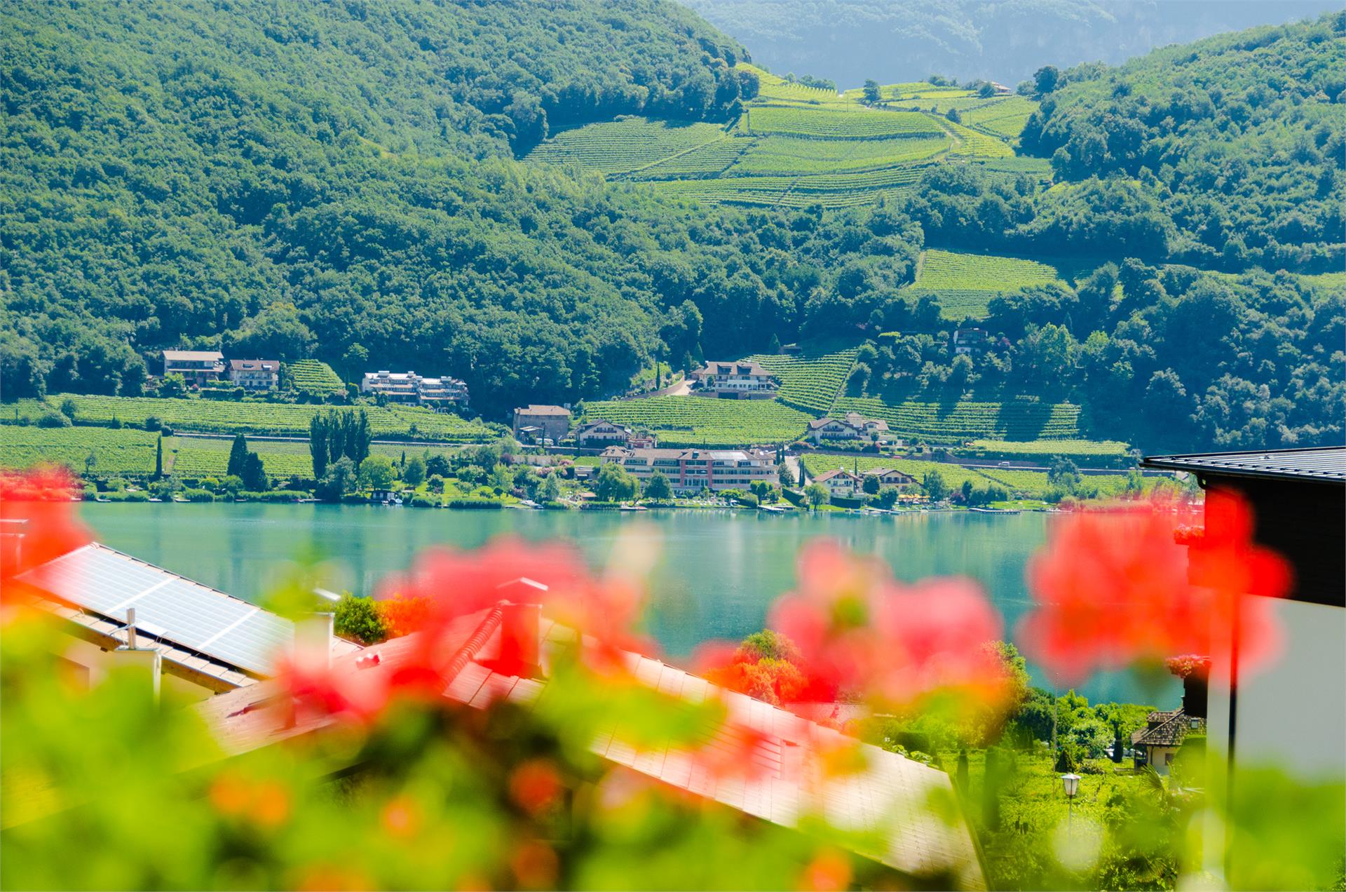 Bertagnollhof Caldaro sulla Strada del Vino 5 suedtirol.info