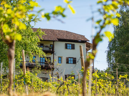 Garni Unterhabsbergerhof Eppan an der Weinstaße/Appiano sulla Strada del Vino 1 suedtirol.info