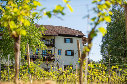 B&B Unterhabsbergerhof Eppan an der Weinstraße 3 suedtirol.info