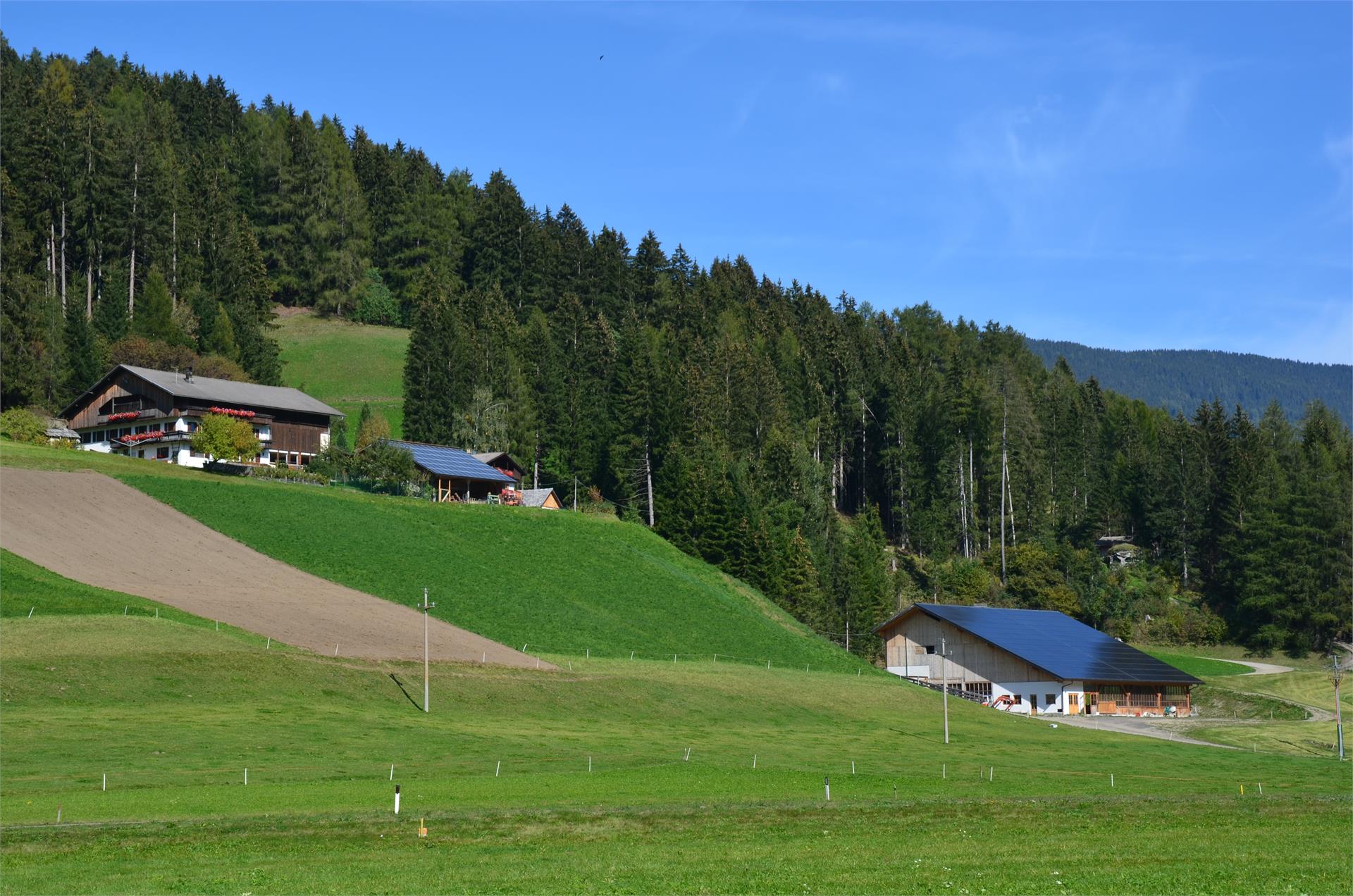 Baumannhof Dobbiaco 3 suedtirol.info