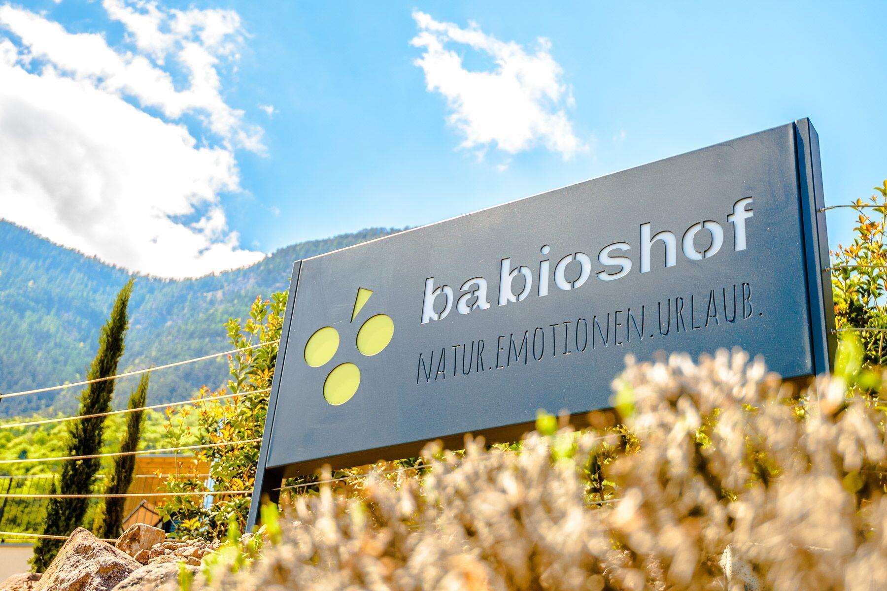 Babioshof Caldaro sulla Strada del Vino 5 suedtirol.info