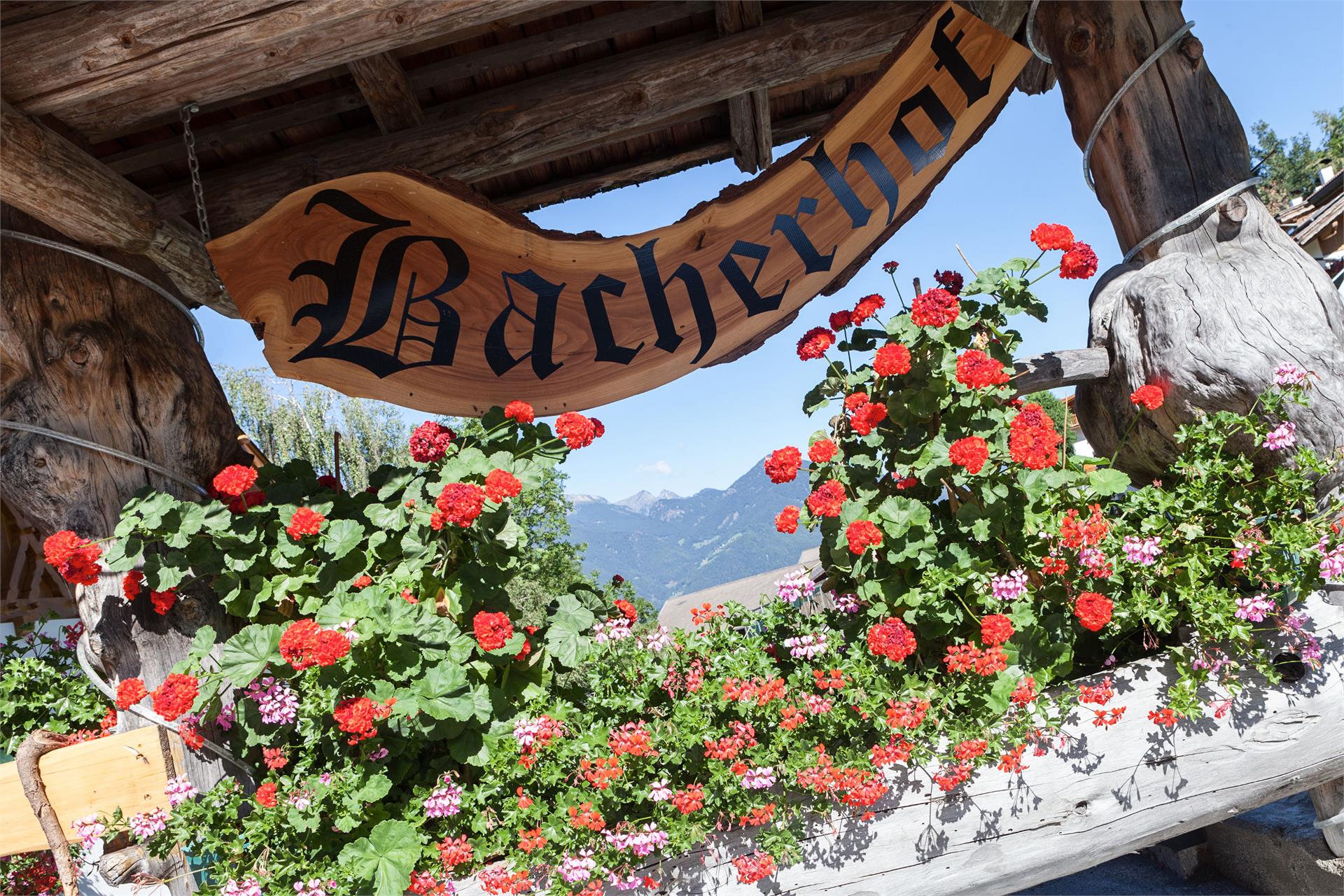 Bacher'stay Bressanone 2 suedtirol.info