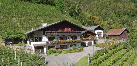 Bognerhof - Agriturismo Rifiano 9 suedtirol.info