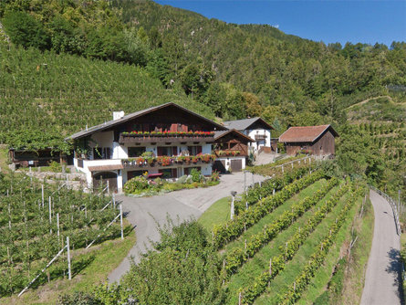 Bognerhof - Agriturismo Rifiano 1 suedtirol.info