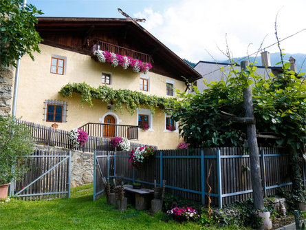 Bertollhof Silandro 2 suedtirol.info