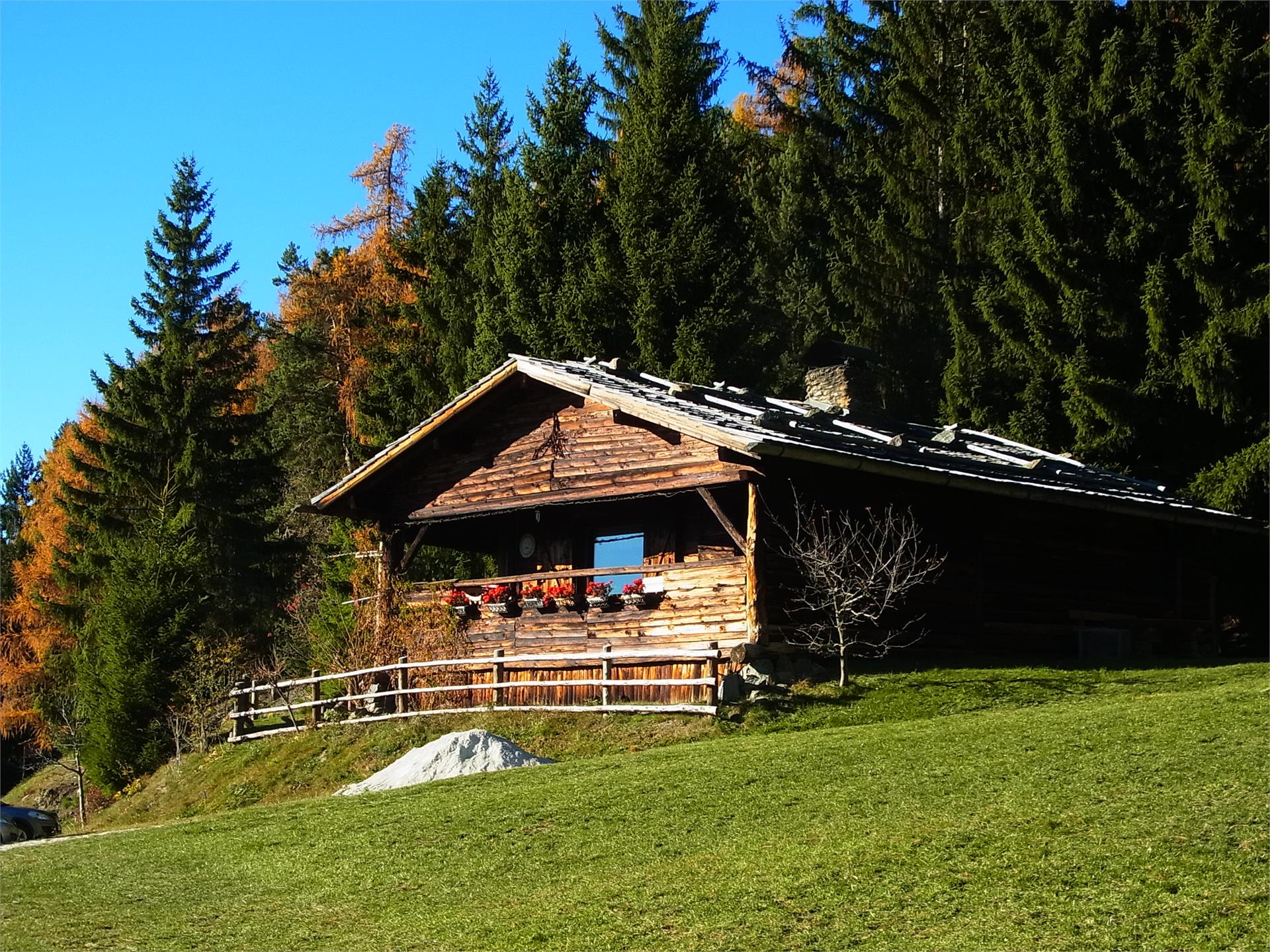 Bauernhof Gspoihof Lajen/Laion 7 suedtirol.info