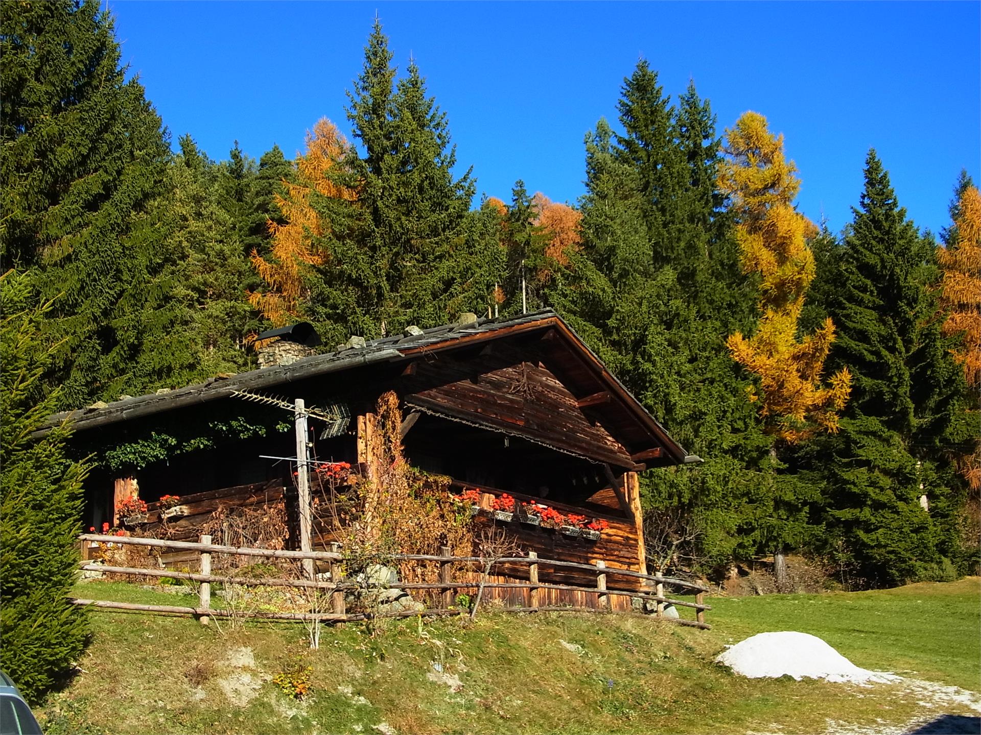 Bauernhof Gspoihof Lajen/Laion 8 suedtirol.info