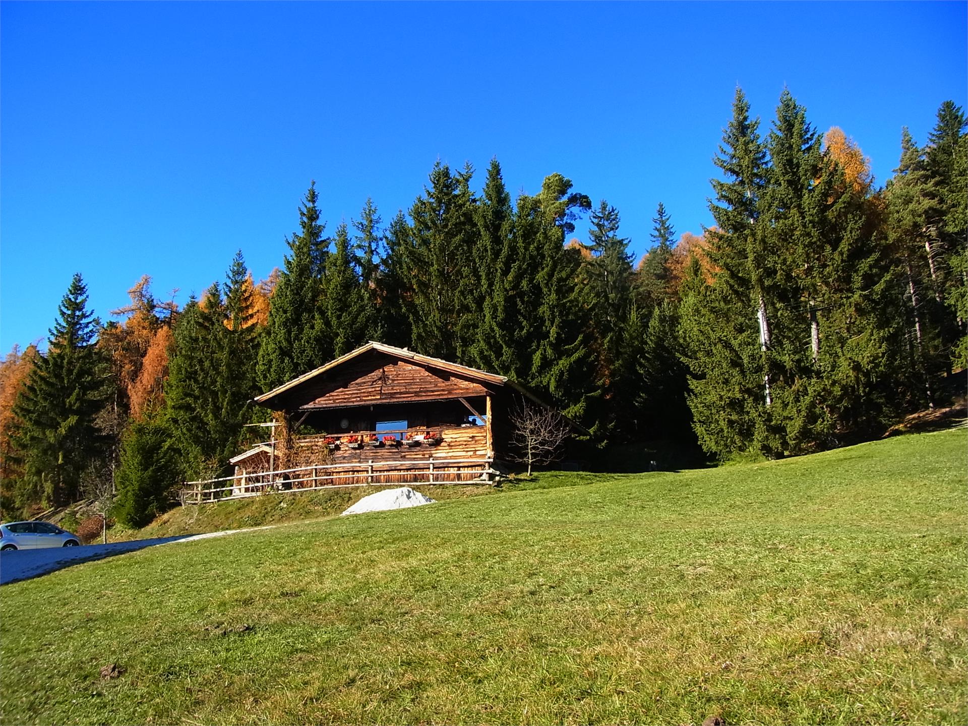 Bauernhof Gspoihof Lajen/Laion 9 suedtirol.info