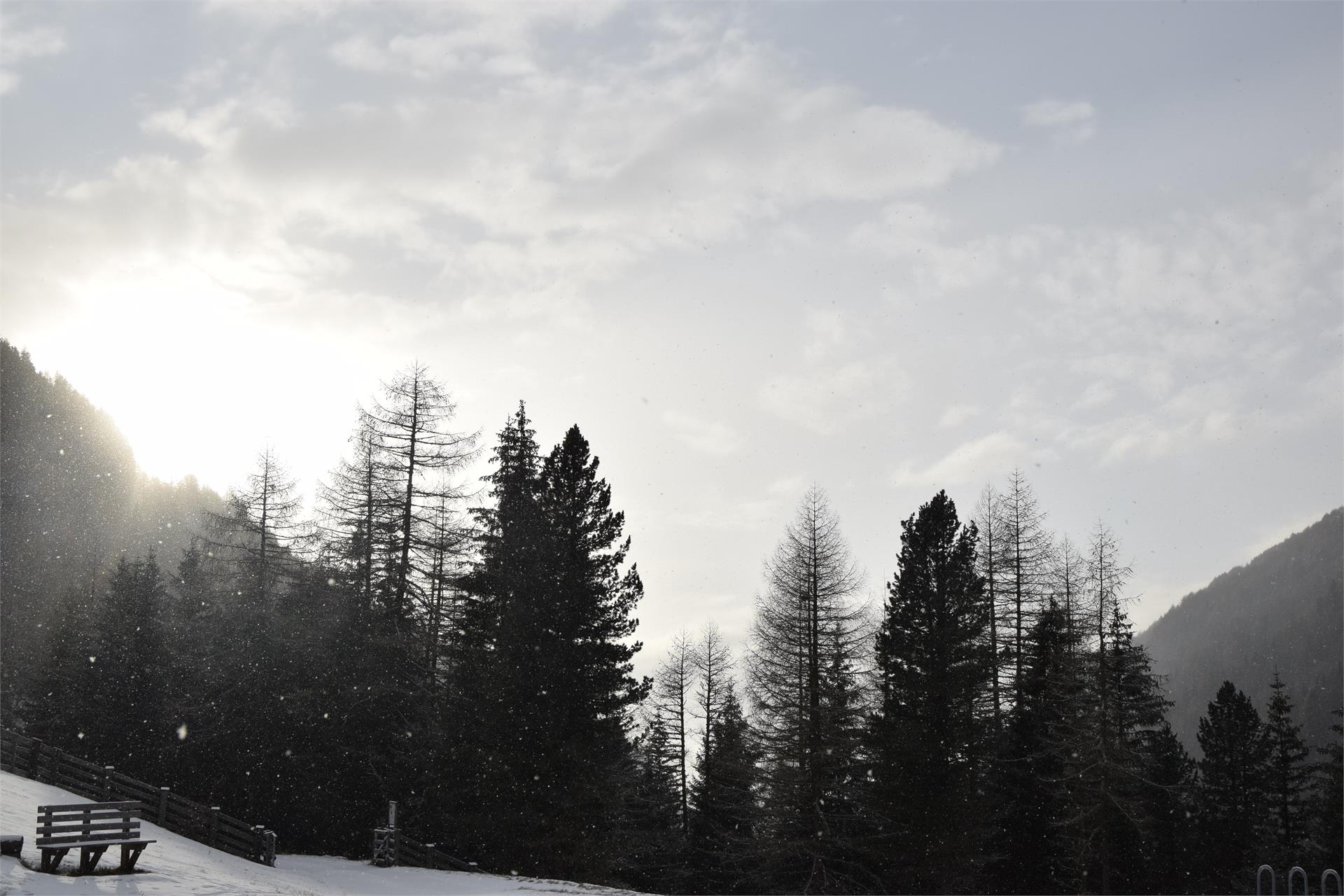 Berggasthaus Badl im Mühlbacher Talile Gais 26 suedtirol.info