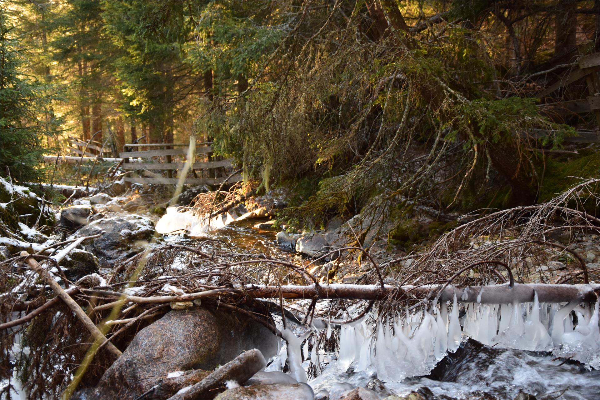 Berggasthaus Badl im Mühlbacher Talile Gais 25 suedtirol.info