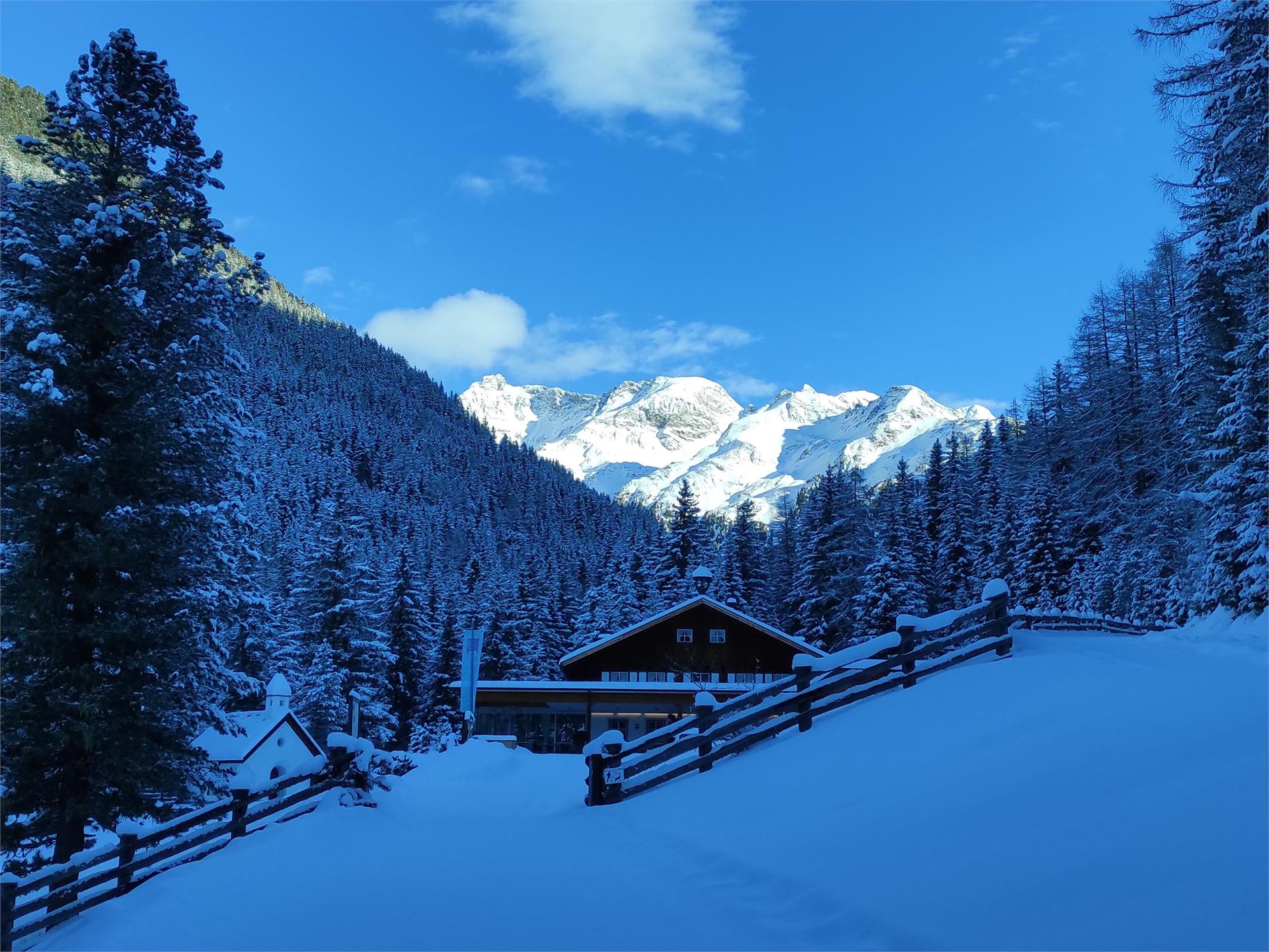 Berggasthaus Badl im Mühlbacher Talile Gais 1 suedtirol.info