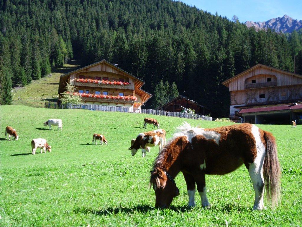 Burgerhof Gsies/Valle di Casies 8 suedtirol.info