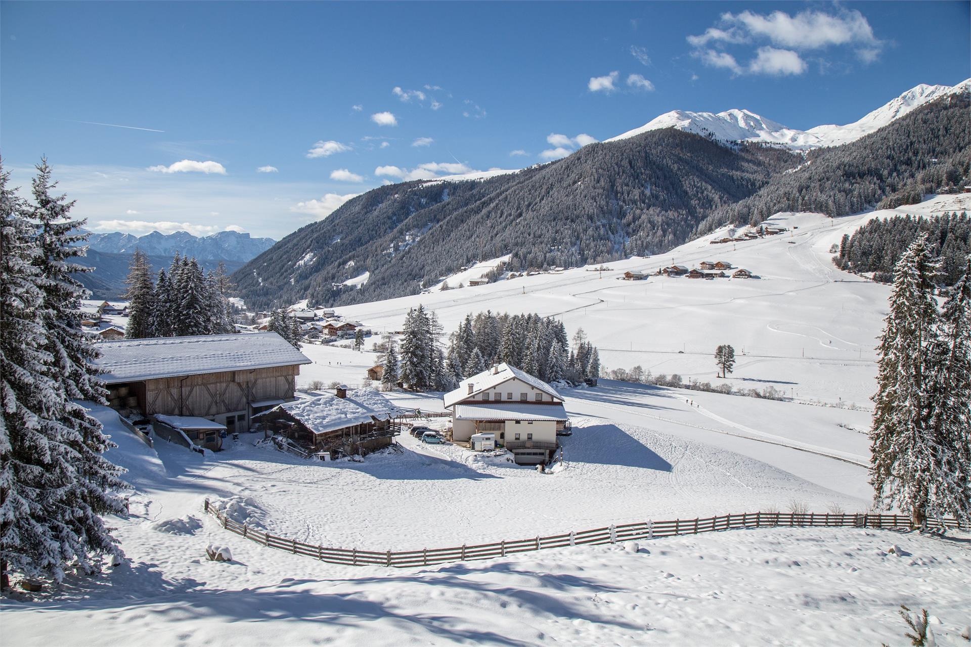 Burgerhof Gsies/Valle di Casies 5 suedtirol.info