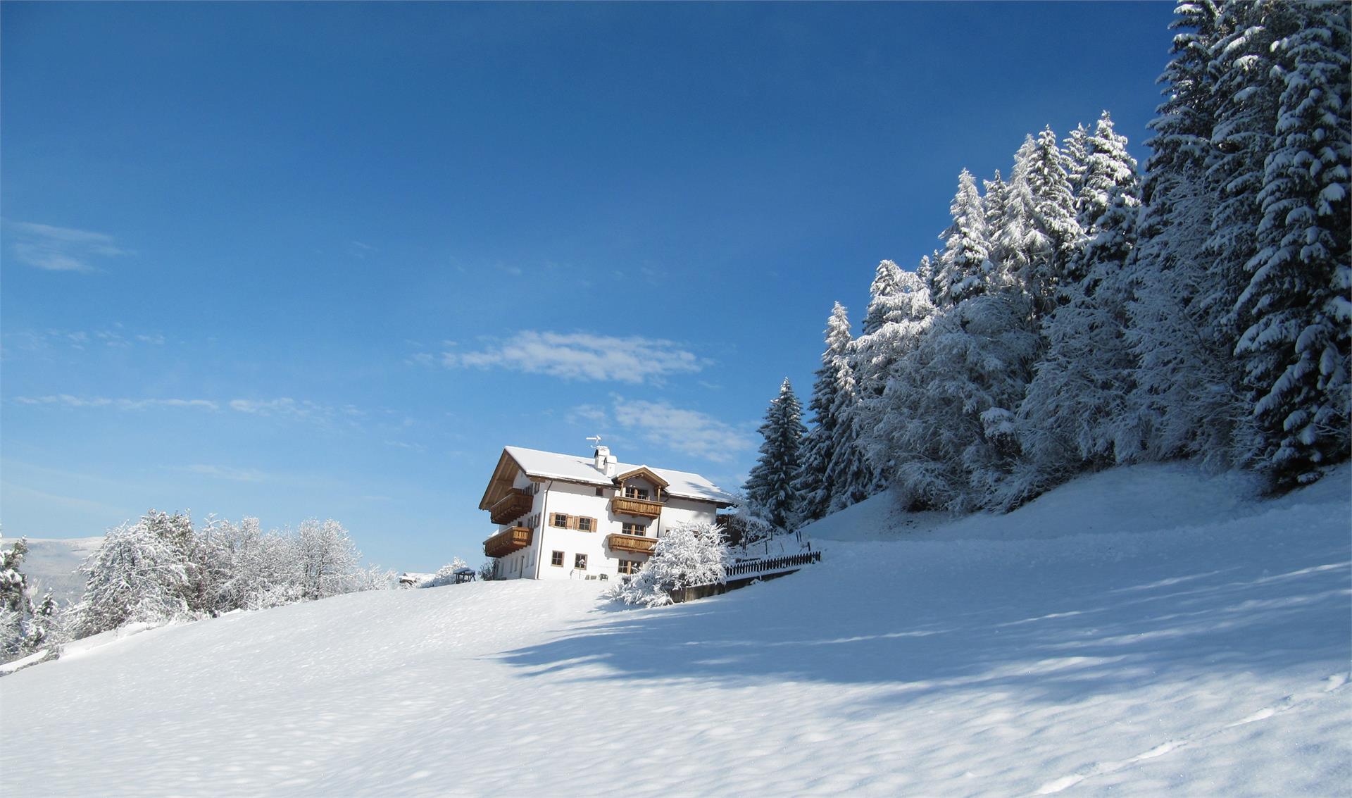 Farm Grunserhof Kastelruth/Castelrotto 3 suedtirol.info