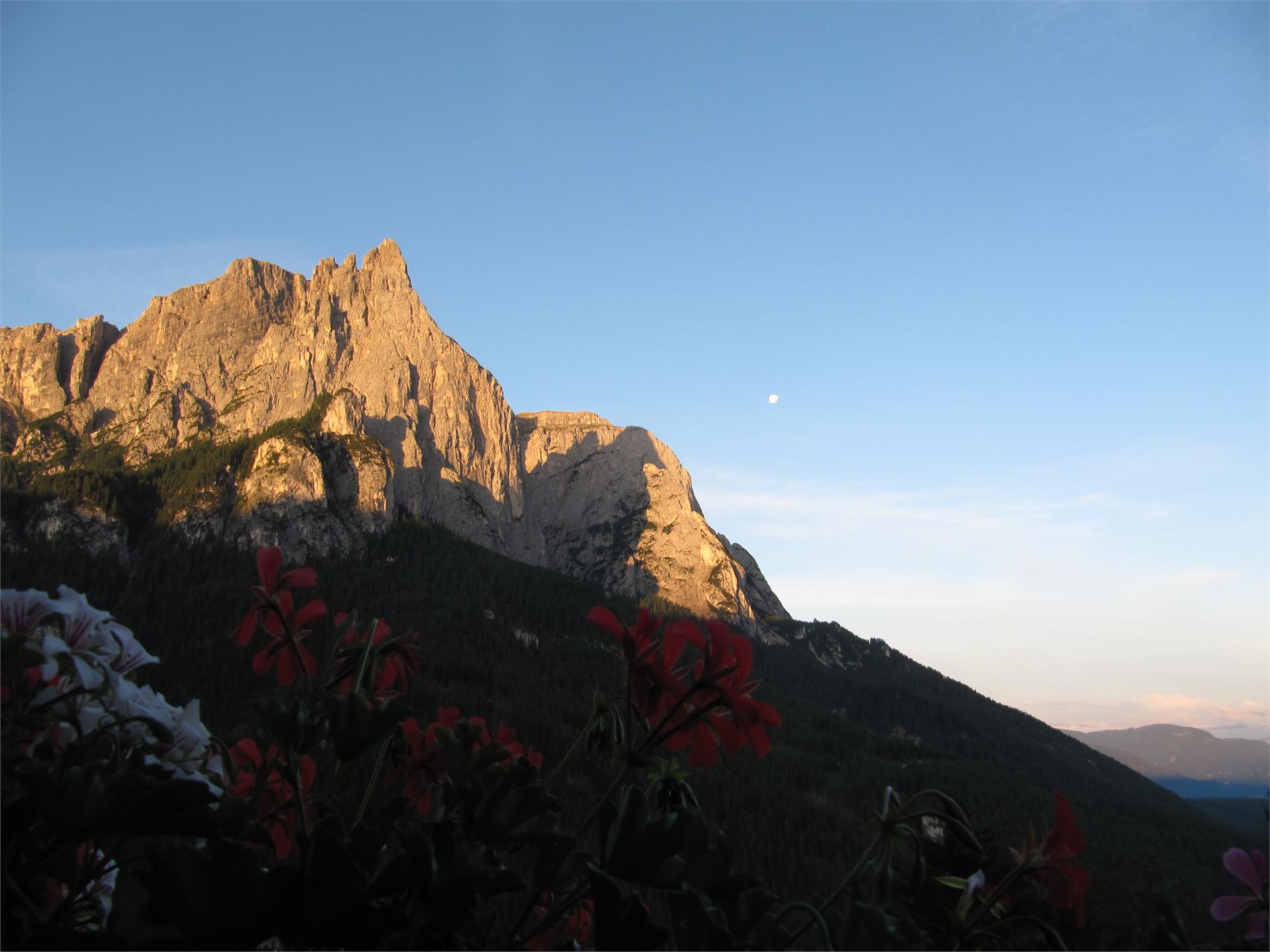 Farm Grunserhof Kastelruth/Castelrotto 10 suedtirol.info