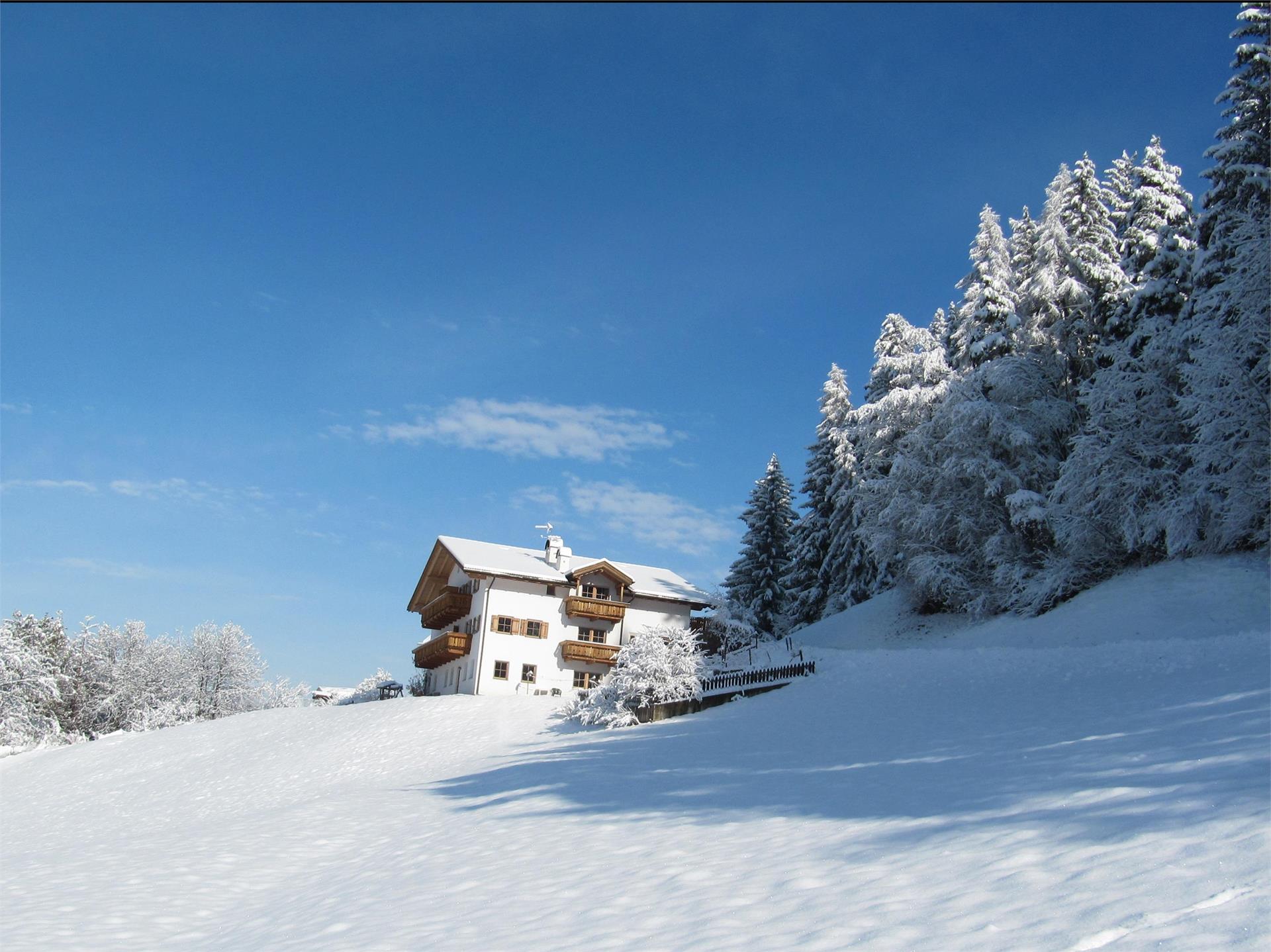 Farm Grunserhof Kastelruth/Castelrotto 1 suedtirol.info