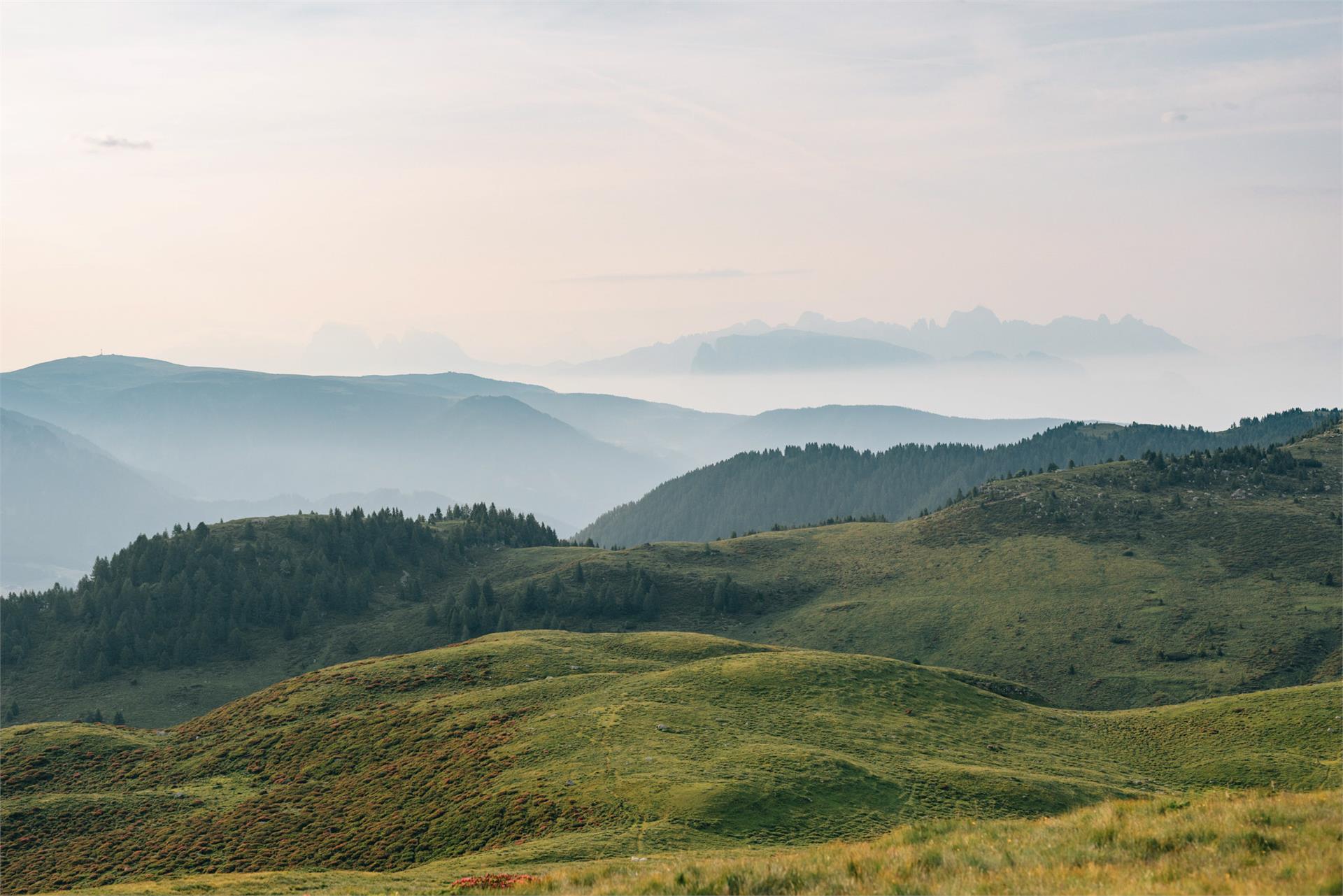 Bäcksteiner Alm Vöran/Verano 2 suedtirol.info