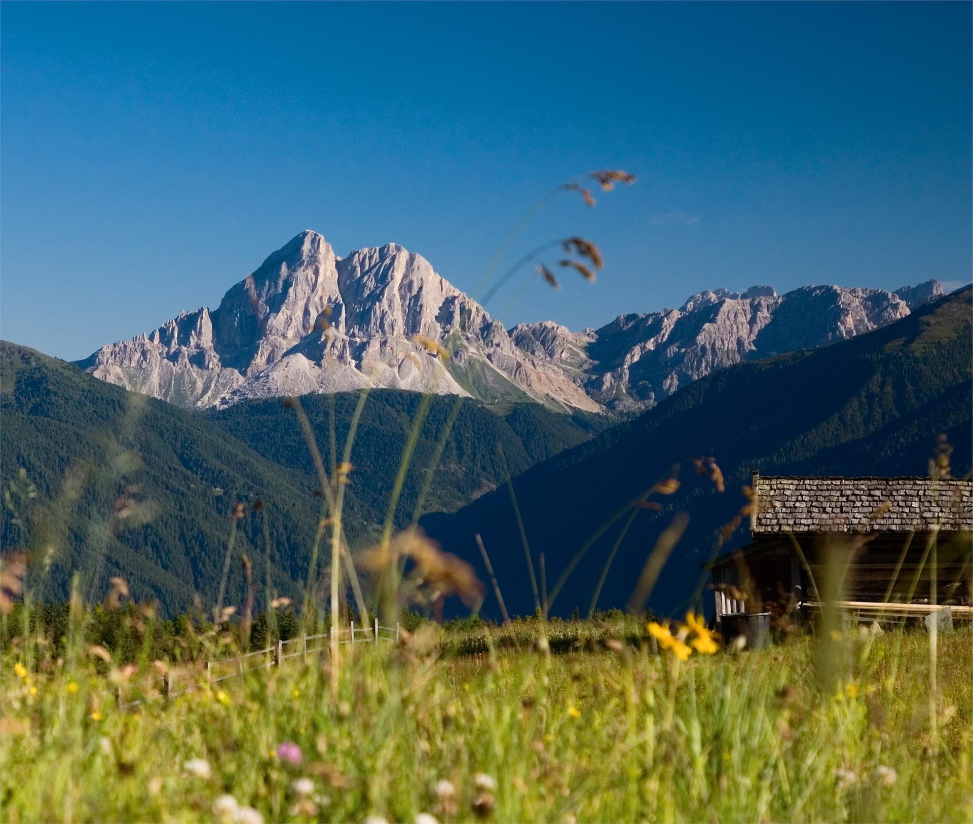 Starkenfeldhütte Rodeneck/Rodengo 16 suedtirol.info