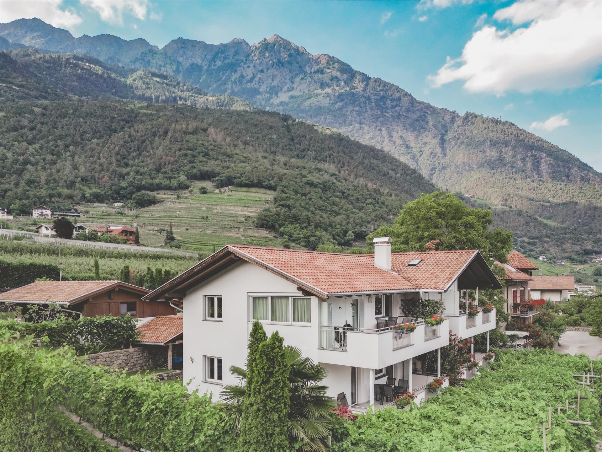 Bauernhof Scheitenguterhof Algund 3 suedtirol.info