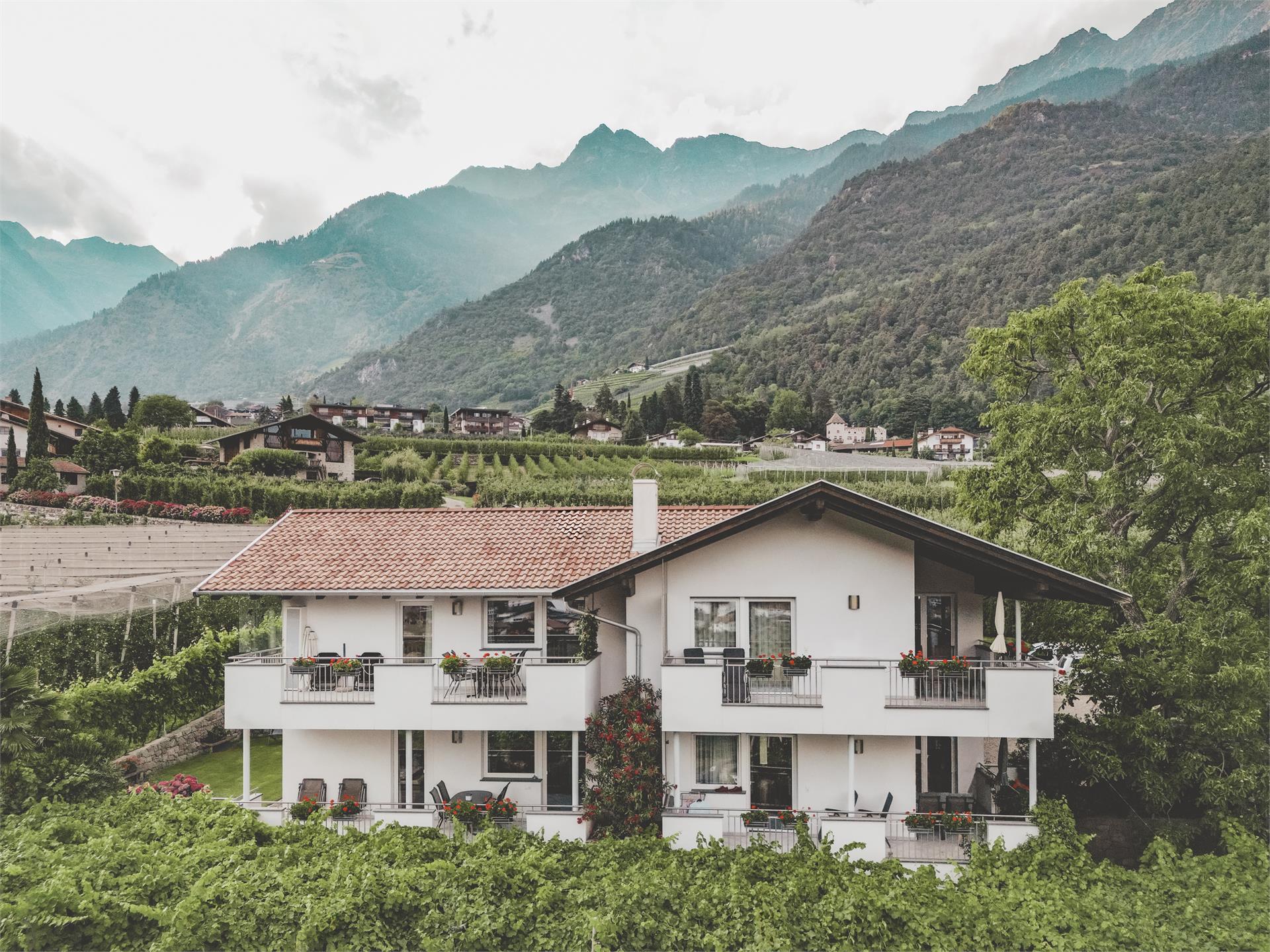 Bauernhof Scheitenguterhof Algund 1 suedtirol.info